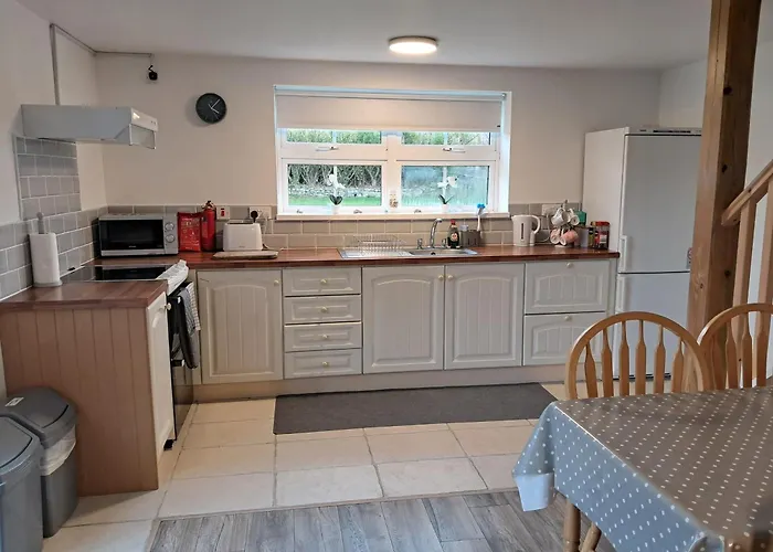 Burren Snug アパート Shanvally (Clare)